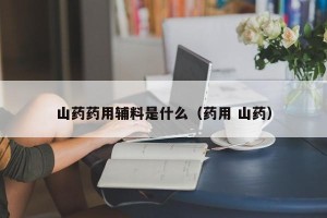 山药药用辅料是什么（药用 山药）
