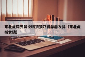 东北虎饲养员投喂狼狼吓得瑟瑟发抖（东北虎捕食狼）