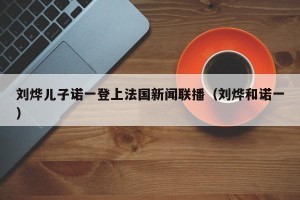 刘烨儿子诺一登上法国新闻联播（刘烨和诺一）
