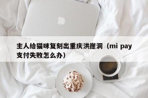 主人给猫咪复刻出重庆洪崖洞（mi pay支付失败怎么办）