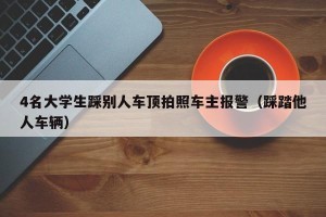 4名大学生踩别人车顶拍照车主报警（踩踏他人车辆）