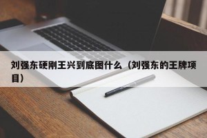 刘强东硬刚王兴到底图什么（刘强东的王牌项目）