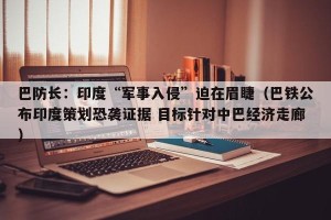 巴防长：印度“军事入侵”迫在眉睫（巴铁公布印度策划恐袭证据 目标针对中巴经济走廊）