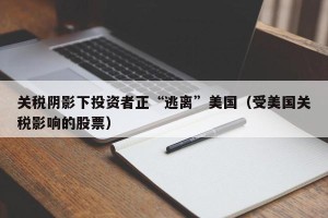 关税阴影下投资者正“逃离”美国（受美国关税影响的股票）