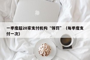 一季度超20家支付机构“领罚”（每季度支付一次）