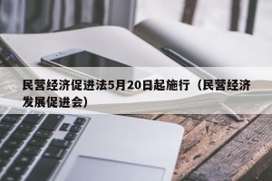 民营经济促进法5月20日起施行（民营经济发展促进会）