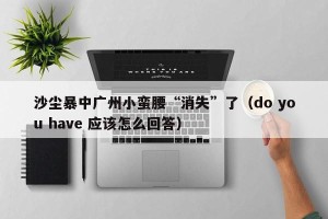 沙尘暴中广州小蛮腰“消失”了（do you have 应该怎么回答）